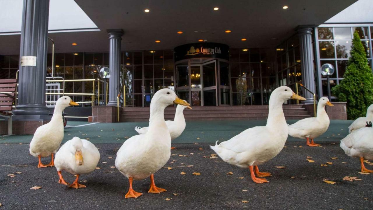 Country Club Tasmania Hotel Launceston Eksteriør billede